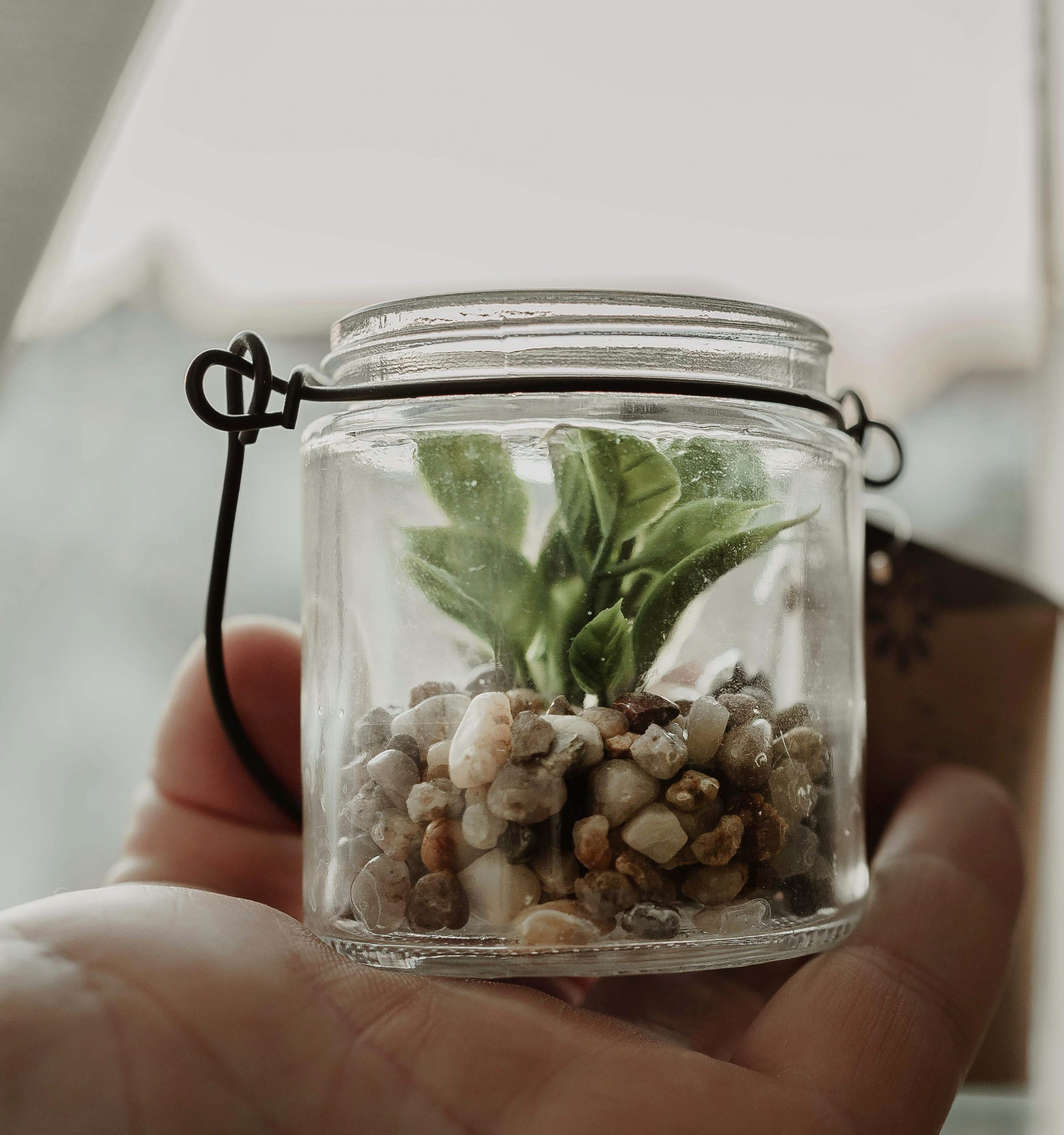 Hand putting coins into a jar with a plant growing out of it symbolizing investment