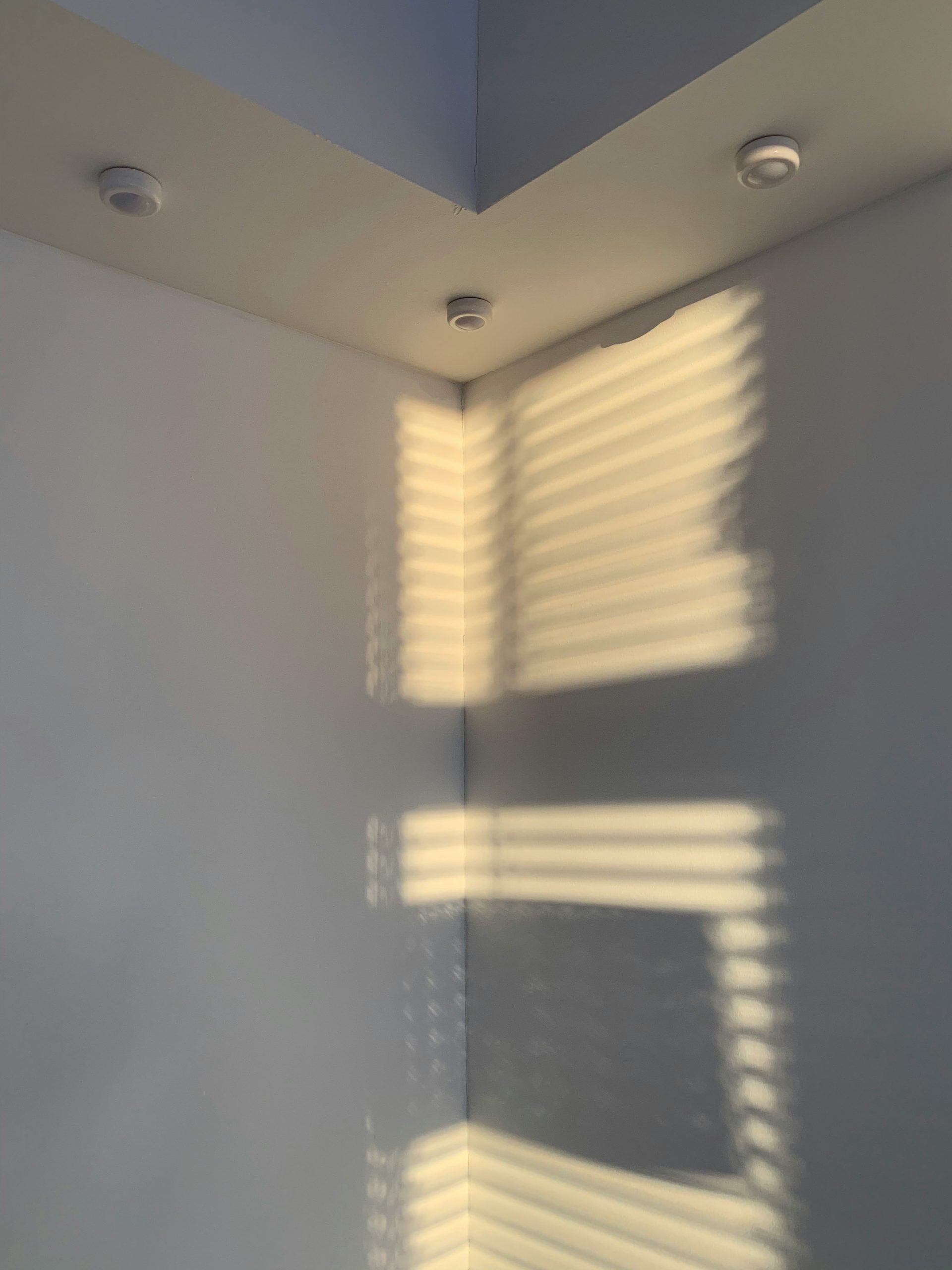 Developer coding on a laptop with secure code visible on screen, warm lighting